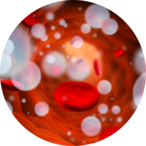 The Science Behind Hyperbaric Therapy