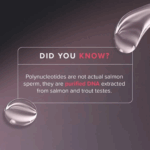 VAMP Salmon DNA Treatment